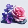 Poudre parfumée senteur violette et rose