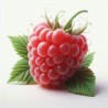 Poudre parfumée senteur framboise