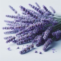 Suspension parfumée senteur lavande