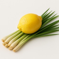 Fondant parfumé senteur citronnelle