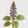 Fondant parfumé senteur patchouli